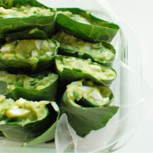 High Fiber Nutrient Dense Recipes eCookbook