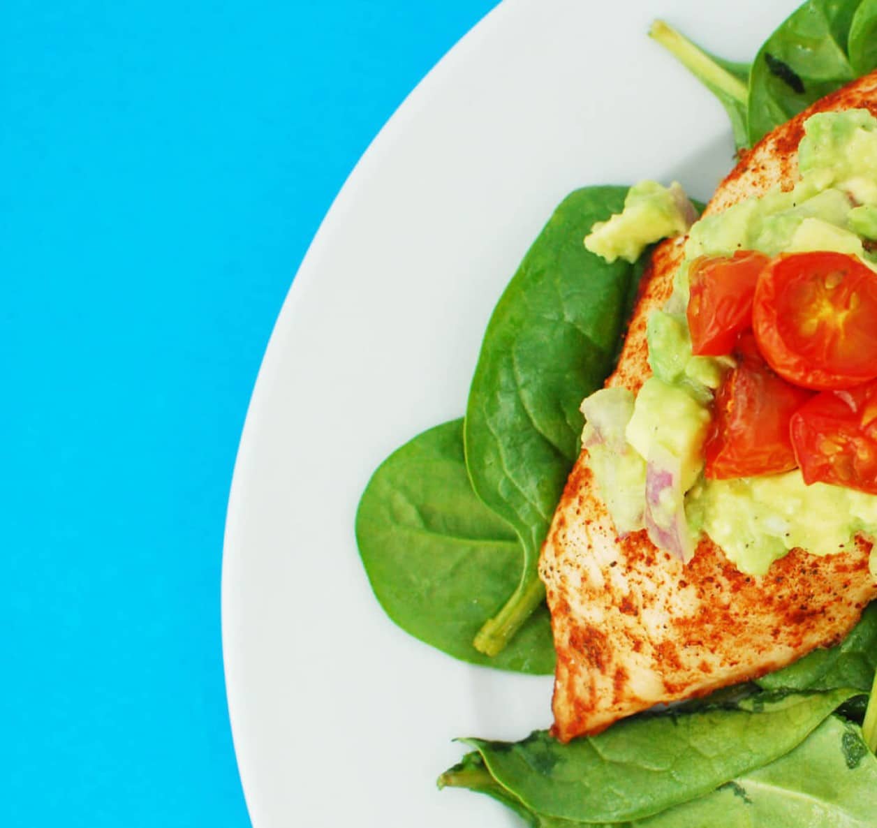 Paleo Healthy Living Program