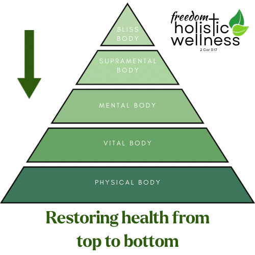 DownwardCausationModelFHW